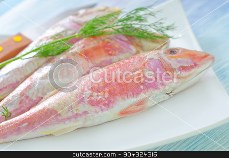 To use this stock image in your creative project, please select the size you need over to the right and click the "Add to Cart" button.
Your downloaded image will come with the Cutcaster watermark removed so don’t worry about the watermark you see on this page. mullet stock photo, mullet by tycoon