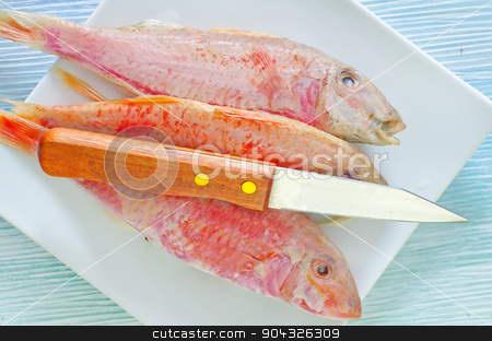 To use this stock image in your creative project, please select the size you need over to the right and click the "Add to Cart" button.
Your downloaded image will come with the Cutcaster watermark removed so don’t worry about the watermark you see on this page. raw fish stock photo, raw fish by tycoon