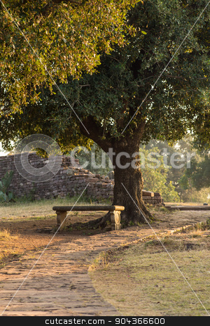 To use this stock image in your creative project, please select the size you need over to the right and click the "Add to Cart" button.
Your downloaded image will come with the Cutcaster watermark removed so don’t worry about the watermark you see on this page. Bench under the tree stock photo, Bench under the tree in the India by Vassiliy Kochetkov