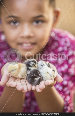 To use this stock image in your creative project, please select the size you need over to the right and click the "Add to Cart" button.
Your downloaded image will come with the Cutcaster watermark removed so don’t worry about the watermark you see on this page. Pretty Young Girl wiht Chicks stock photo, Pretty young mixed race girl holding baby chickens by Scott Griessel