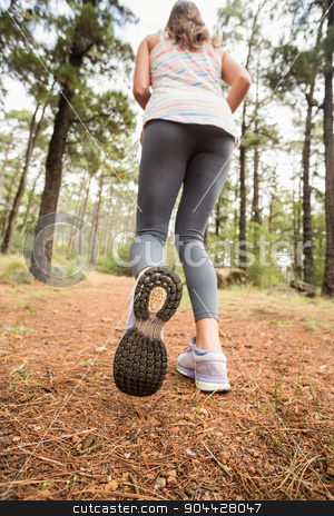 To use this stock image in your creative project, please select the size you need over to the right and click the "Add to Cart" button.
Your downloaded image will come with the Cutcaster watermark removed so don’t worry about the watermark you see on this page. Young happy jogger walking stock photo, Young happy jogger walking in the nature by Wavebreak Media