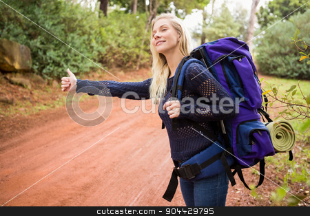 To use this stock image in your creative project, please select the size you need over to the right and click the "Add to Cart" button.
Your downloaded image will come with the Cutcaster watermark removed so don’t worry about the watermark you see on this page. Pretty hitchhiker sticking thumb out stock photo, Pretty hitchhiker sticking thumb out on a crossing path by Wavebreak Media