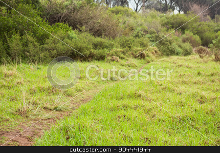 To use this stock image in your creative project, please select the size you need over to the right and click the "Add to Cart" button.
Your downloaded image will come with the Cutcaster watermark removed so don’t worry about the watermark you see on this page. Image of a greenness hiking path stock photo, Image of a beautiful greenness hiking path by Wavebreak Media