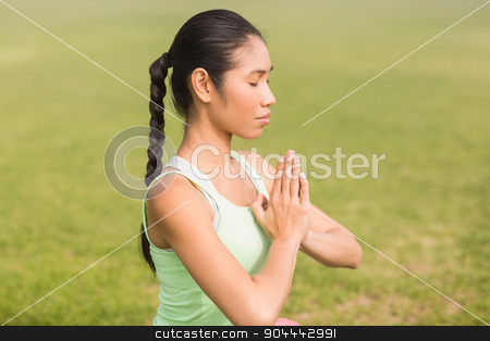 To use this stock image in your creative project, please select the size you need over to the right and click the "Add to Cart" button.
Your downloaded image will come with the Cutcaster watermark removed so don’t worry about the watermark you see on this page. Peaceful sporty woman doing yoga stock photo, Peaceful sporty woman doing yoga in parkland by Wavebreak Media