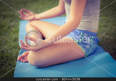 To use this stock image in your creative project, please select the size you need over to the right and click the "Add to Cart" button.
Your downloaded image will come with the Cutcaster watermark removed so don’t worry about the watermark you see on this page. Sporty woman meditating on exercise mat stock photo, Sporty woman meditating on exercise mat in parkland by Wavebreak Media