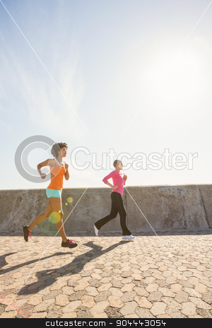 To use this stock image in your creative project, please select the size you need over to the right and click the "Add to Cart" button.
Your downloaded image will come with the Cutcaster watermark removed so don’t worry about the watermark you see on this page. Two sporty women jogging together stock photo, Two sporty women jogging together at promenade by Wavebreak Media