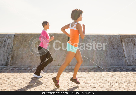 To use this stock image in your creative project, please select the size you need over to the right and click the "Add to Cart" button.
Your downloaded image will come with the Cutcaster watermark removed so don’t worry about the watermark you see on this page. Two sporty women jogging together stock photo, Two sporty women jogging together at promenade by Wavebreak Media