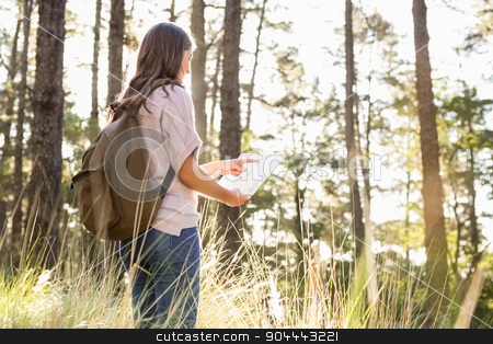 To use this stock image in your creative project, please select the size you need over to the right and click the "Add to Cart" button.
Your downloaded image will come with the Cutcaster watermark removed so don’t worry about the watermark you see on this page. Brunette hiker reading map stock photo, Brunette hiker reading map in the nature by Wavebreak Media