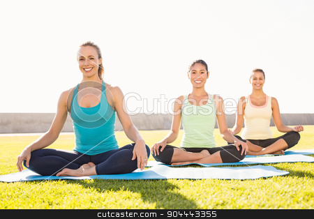 To use this stock image in your creative project, please select the size you need over to the right and click the "Add to Cart" button.
Your downloaded image will come with the Cutcaster watermark removed so don’t worry about the watermark you see on this page. Smiling sporty women doing yoga together stock photo, Portrait of smiling sporty women doing yoga together in parkland by Wavebreak Media