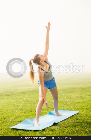 To use this stock image in your creative project, please select the size you need over to the right and click the "Add to Cart" button.
Your downloaded image will come with the Cutcaster watermark removed so don’t worry about the watermark you see on this page. Sporty blonde doing warrior pose on exercise mat stock photo, Sporty blonde doing warrior pose on exercise mat in parkland by Wavebreak Media