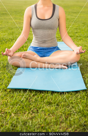 To use this stock image in your creative project, please select the size you need over to the right and click the "Add to Cart" button.
Your downloaded image will come with the Cutcaster watermark removed so don’t worry about the watermark you see on this page. Sporty woman meditating on exercise mat stock photo, Sporty woman meditating on exercise mat in parkland by Wavebreak Media