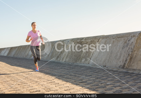 To use this stock image in your creative project, please select the size you need over to the right and click the "Add to Cart" button.
Your downloaded image will come with the Cutcaster watermark removed so don’t worry about the watermark you see on this page. Sporty blonde jogging at promenade stock photo, Sporty blonde jogging at promenade on a sunny day by Wavebreak Media