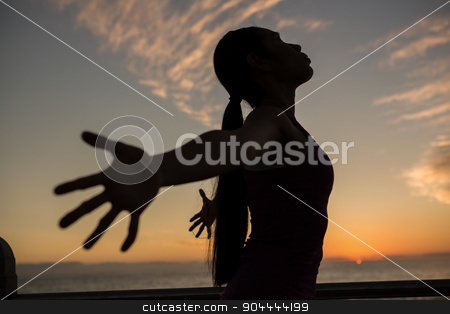 To use this stock image in your creative project, please select the size you need over to the right and click the "Add to Cart" button.
Your downloaded image will come with the Cutcaster watermark removed so don’t worry about the watermark you see on this page. Carefree fit woman with arms outstretched at promenade stock photo, Carefree fit woman with arms outstretched at promenade against sunset by Wavebreak Media