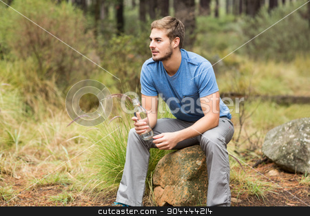 To use this stock image in your creative project, please select the size you need over to the right and click the "Add to Cart" button.
Your downloaded image will come with the Cutcaster watermark removed so don’t worry about the watermark you see on this page. Handsome man sitting on a stone stock photo, Handsome man sitting on a stone in the nature by Wavebreak Media