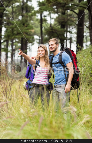 To use this stock image in your creative project, please select the size you need over to the right and click the "Add to Cart" button.
Your downloaded image will come with the Cutcaster watermark removed so don’t worry about the watermark you see on this page. Young hiker couple pointing stock photo, Young hiker couple pointing in the nature by Wavebreak Media
