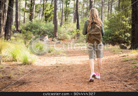 To use this stock image in your creative project, please select the size you need over to the right and click the "Add to Cart" button.
Your downloaded image will come with the Cutcaster watermark removed so don’t worry about the watermark you see on this page. Blonde hiker hiking on path stock photo, Blonde hiker hiking on path in the nature by Wavebreak Media