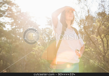 To use this stock image in your creative project, please select the size you need over to the right and click the "Add to Cart" button.
Your downloaded image will come with the Cutcaster watermark removed so don’t worry about the watermark you see on this page. Pretty brunette hiker looking for path stock photo, Pretty brunette hiker looking for path in the nature by Wavebreak Media