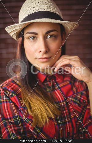 To use this stock image in your creative project, please select the size you need over to the right and click the "Add to Cart" button.
Your downloaded image will come with the Cutcaster watermark removed so don’t worry about the watermark you see on this page. Beautiful hipster looking at camera stock photo, Beautiful hipster looking at camera on red brick background by Wavebreak Media