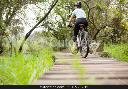 To use this stock image in your creative project, please select the size you need over to the right and click the "Add to Cart" button.
Your downloaded image will come with the Cutcaster watermark removed so don’t worry about the watermark you see on this page. Rear view of a fit woman cycling her bike stock photo, Rear view of a fit woman cycling her bike on a wooden path by Wavebreak Media