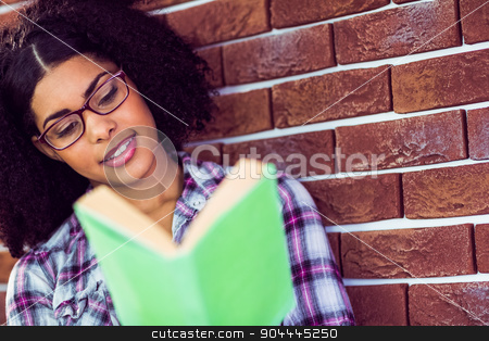 To use this stock image in your creative project, please select the size you need over to the right and click the "Add to Cart" button.
Your downloaded image will come with the Cutcaster watermark removed so don’t worry about the watermark you see on this page. Attractive hipster reading book stock photo, Attractive hipster reading book against red brick background by Wavebreak Media