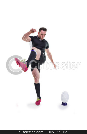 To use this stock image in your creative project, please select the size you need over to the right and click the "Add to Cart" button.
Your downloaded image will come with the Cutcaster watermark removed so don’t worry about the watermark you see on this page. Rugby player kicking the ball stock photo, Rugby player kicking the ball on white background by Wavebreak Media