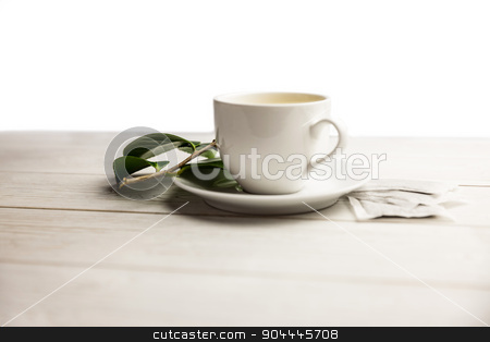 To use this stock image in your creative project, please select the size you need over to the right and click the "Add to Cart" button.
Your downloaded image will come with the Cutcaster watermark removed so don’t worry about the watermark you see on this page. Cup of herbal tea on table stock photo, Cup of herbal tea on table shot in studio by Wavebreak Media