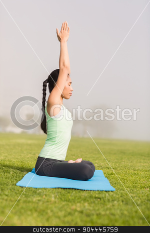To use this stock image in your creative project, please select the size you need over to the right and click the "Add to Cart" button.
Your downloaded image will come with the Cutcaster watermark removed so don’t worry about the watermark you see on this page. Peaceful sporty woman doing the lotus pose stock photo, Peaceful sporty woman doing the lotus pose in parkland by Wavebreak Media
