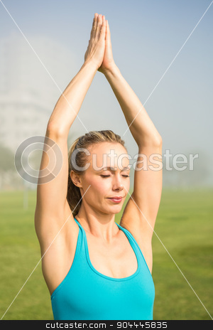 To use this stock image in your creative project, please select the size you need over to the right and click the "Add to Cart" button.
Your downloaded image will come with the Cutcaster watermark removed so don’t worry about the watermark you see on this page. Peaceful fit blonde doing yoga stock photo, Peaceful fit blonde doing yoga in parkland by Wavebreak Media