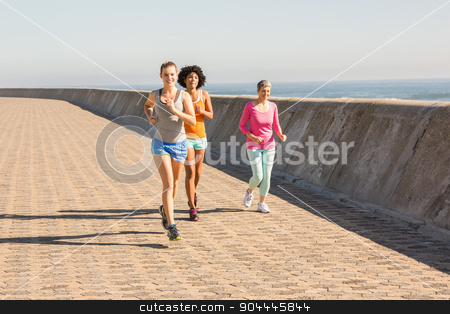 To use this stock image in your creative project, please select the size you need over to the right and click the "Add to Cart" button.
Your downloaded image will come with the Cutcaster watermark removed so don’t worry about the watermark you see on this page. Sporty women jogging together stock photo, Sporty women jogging together at promenade by Wavebreak Media