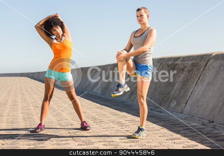 To use this stock image in your creative project, please select the size you need over to the right and click the "Add to Cart" button.
Your downloaded image will come with the Cutcaster watermark removed so don’t worry about the watermark you see on this page. Two young woman stretching together stock photo, Two young woman stretching together at promenade by Wavebreak Media