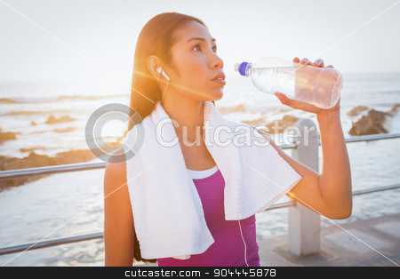 To use this stock image in your creative project, please select the size you need over to the right and click the "Add to Cart" button.
Your downloaded image will come with the Cutcaster watermark removed so don’t worry about the watermark you see on this page. Fit woman resting and drinking water at promenade stock photo, Fit woman resting and drinking water at promenade on a sunny day by Wavebreak Media