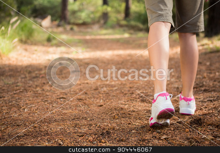 To use this stock image in your creative project, please select the size you need over to the right and click the "Add to Cart" button.
Your downloaded image will come with the Cutcaster watermark removed so don’t worry about the watermark you see on this page. Close up view of woman hiking on path stock photo, Close up view of woman hiking on path in the nature by Wavebreak Media