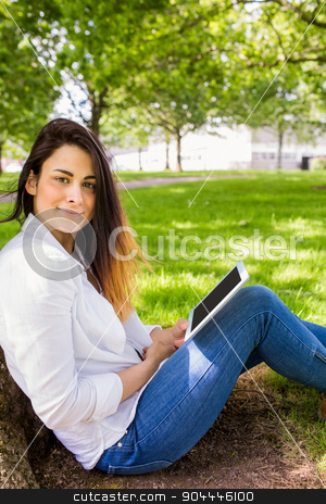 To use this stock image in your creative project, please select the size you need over to the right and click the "Add to Cart" button.
Your downloaded image will come with the Cutcaster watermark removed so don’t worry about the watermark you see on this page. Beautiful brunette using tablet pc in the park stock photo, Beautiful brunette using tablet pc in the park on a sunny day by Wavebreak Media