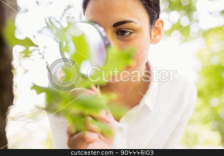 To use this stock image in your creative project, please select the size you need over to the right and click the "Add to Cart" button.
Your downloaded image will come with the Cutcaster watermark removed so don’t worry about the watermark you see on this page. Beautiful brunette looking at plant through magnifying glass stock photo, Beautiful brunette looking at plant through magnifying glass on a sunny day by Wavebreak Media