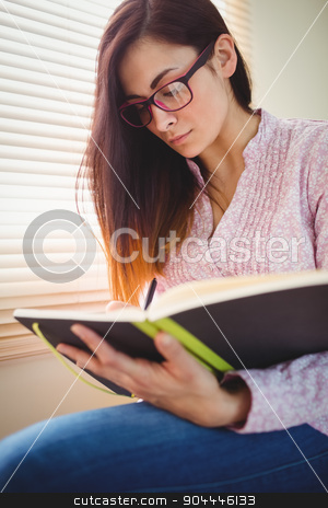 To use this stock image in your creative project, please select the size you need over to the right and click the "Add to Cart" button.
Your downloaded image will come with the Cutcaster watermark removed so don’t worry about the watermark you see on this page. Pretty brunette studying beside window stock photo, Pretty brunette studying beside window in a bright room by Wavebreak Media