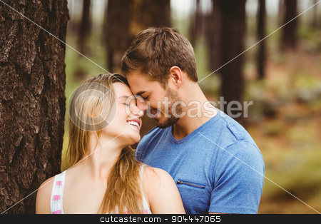 To use this stock image in your creative project, please select the size you need over to the right and click the "Add to Cart" button.
Your downloaded image will come with the Cutcaster watermark removed so don’t worry about the watermark you see on this page. Young happy hiker couple stock photo, Young happy hiker couple in the nature by Wavebreak Media