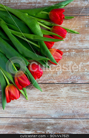 To use this stock image in your creative project, please select the size you need over to the right and click the "Add to Cart" button.
Your downloaded image will come with the Cutcaster watermark removed so don’t worry about the watermark you see on this page. close up of red tulips on wooden background stock photo, gardening , flowers, advertisement and holidays concept - close up of red tulips on wooden background by Syda Productions