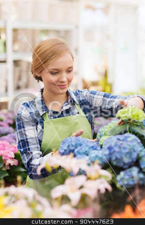 To use this stock image in your creative project, please select the size you need over to the right and click the "Add to Cart" button.
Your downloaded image will come with the Cutcaster watermark removed so don’t worry about the watermark you see on this page. happy woman taking care of flowers in greenhouse stock photo, people, gardening and profession concept - happy woman or gardener taking care of flowers in greenhouse by Syda Productions