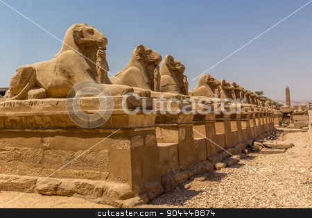 To use this stock image in your creative project, please select the size you need over to the right and click the "Add to Cart" button.
Your downloaded image will come with the Cutcaster watermark removed so don’t worry about the watermark you see on this page. luxor avenue stock photo, a horizontal view of the Avenue of the ram-headed Sphinxes. Karnak Temple. Luxor, Egypt
by Noelia