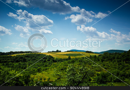 To use this stock image in your creative project, please select the size you need over to the right and click the "Add to Cart" button.
Your downloaded image will come with the Cutcaster watermark removed so don’t worry about the watermark you see on this page. Landscape from Romania stock photo, A beautiful vew from Romania in a cloudy day by Roland Valentin Raicu