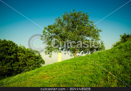 To use this stock image in your creative project, please select the size you need over to the right and click the "Add to Cart" button.
Your downloaded image will come with the Cutcaster watermark removed so don’t worry about the watermark you see on this page. A monument next to a tree stock photo, A monument next to a tree with a dark blue sky behind by Roland Valentin Raicu
