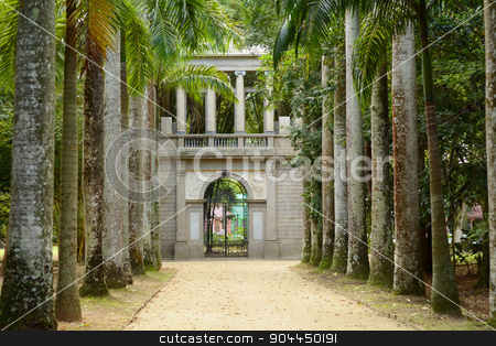 To use this stock image in your creative project, please select the size you need over to the right and click the "Add to Cart" button.
Your downloaded image will come with the Cutcaster watermark removed so don’t worry about the watermark you see on this page. Avenue of Royal Palm Trees. Botanical Garden. stock photo, Botanical Garden in Rio de Janeiro, Brazil. by nicolas menijes