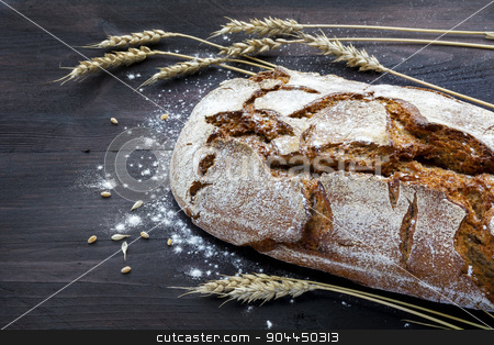 To use this stock image in your creative project, please select the size you need over to the right and click the "Add to Cart" button.
Your downloaded image will come with the Cutcaster watermark removed so don’t worry about the watermark you see on this page. rustic bread and wheat on a dark wooden table stock photo, rustic crusty bread and wheat ears on a dark wooden table by Maren Winter