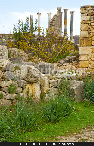 To use this stock image in your creative project, please select the size you need over to the right and click the "Add to Cart" button.
Your downloaded image will come with the Cutcaster watermark removed so don’t worry about the watermark you see on this page. volubilis in africa the deteriorated monument and site stock photo, volubilis in morocco africa the old roman deteriorated monument and site by mason luca