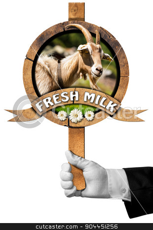 To use this stock image in your creative project, please select the size you need over to the right and click the "Add to Cart" button.
Your downloaded image will come with the Cutcaster watermark removed so don’t worry about the watermark you see on this page. Goat Fresh Milk - Sign with Hand of Chef stock photo, Hand of chef holding a wooden sign with head of goat with horns, green grass and daisy flowers, wooden ribbon with text Fresh milk. Isolated on white background by catalby