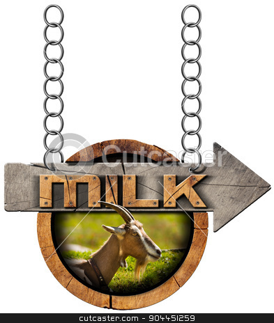 To use this stock image in your creative project, please select the size you need over to the right and click the "Add to Cart" button.
Your downloaded image will come with the Cutcaster watermark removed so don’t worry about the watermark you see on this page. Goat Milk - Wooden Sign with Arrow and Chain stock photo, Wooden sign with directional arrow with text Milk, head of goat with horns. Hanging from a metal chain and isolated on white by catalby
