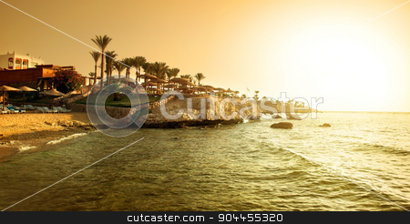 To use this stock image in your creative project, please select the size you need over to the right and click the "Add to Cart" button.
Your downloaded image will come with the Cutcaster watermark removed so don’t worry about the watermark you see on this page. Coast of red sea stock photo, Coast of red sea at the sunset by Givaga
