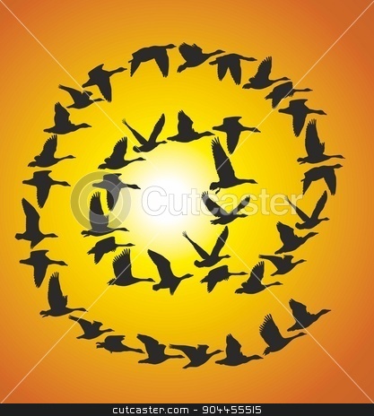To use this stock image in your creative project, please select the size you need over to the right and click the "Add to Cart" button.
Your downloaded image will come with the Cutcaster watermark removed so don’t worry about the watermark you see on this page. Sign Post of flying geese at sunset stock vector clipart, Flock Flying Geese on blue sky in the shape at sign post by Čerešňák