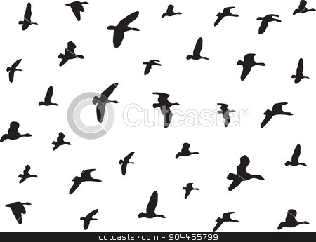 To use this stock image in your creative project, please select the size you need over to the right and click the "Add to Cart" button.
Your downloaded image will come with the Cutcaster watermark removed so don’t worry about the watermark you see on this page. Birds flying stock vector clipart, Birds flying isolated on white by Alexandru Ghidan Daniel