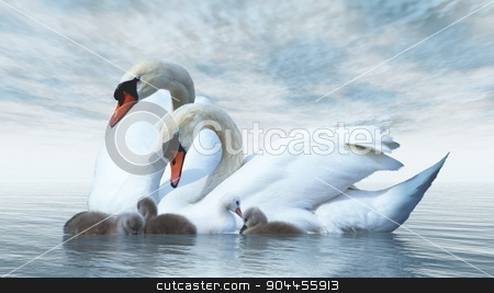 To use this stock image in your creative project, please select the size you need over to the right and click the "Add to Cart" button.
Your downloaded image will come with the Cutcaster watermark removed so don’t worry about the watermark you see on this page. Swan family - 3D render stock photo, Swan family floating over by blue day - 3D render by Elenarts